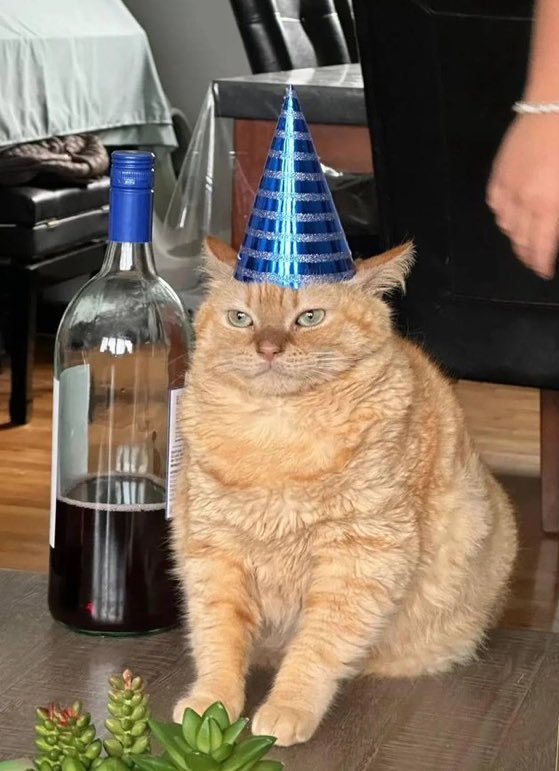 Lionspectre's tweet image. 