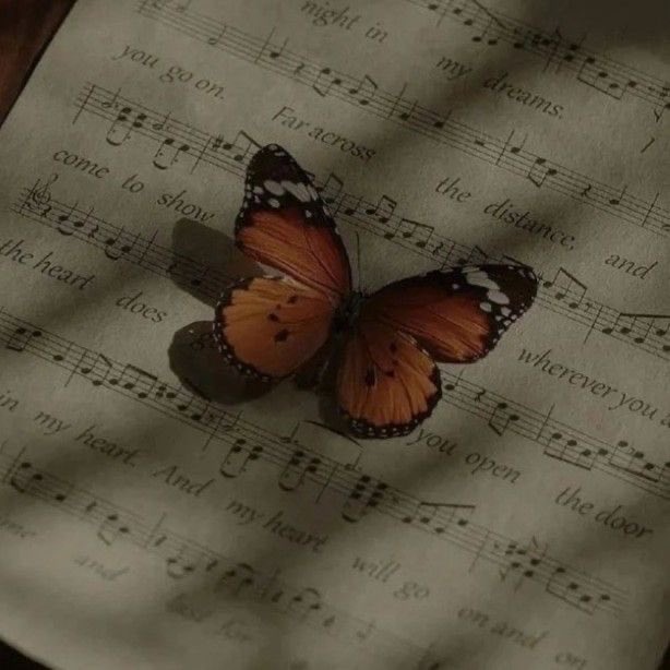 Let softness be your strength.