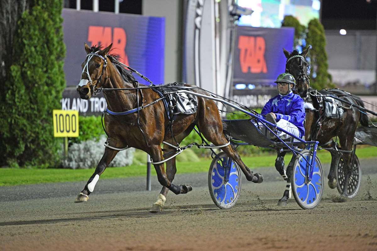 Mark and Nathan Purdon may now be based in the North Island, but they have returned south in a bid to plunder the big prizemoney on offer in the NZB Standardbred Harness Million at Addington Raceway on Friday. 🏆

Their charge will be led in the $150,000 NZB Standardbred Harness