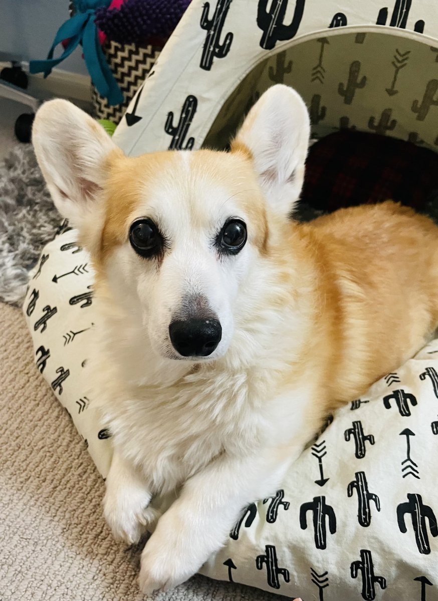 Dale North tweet media