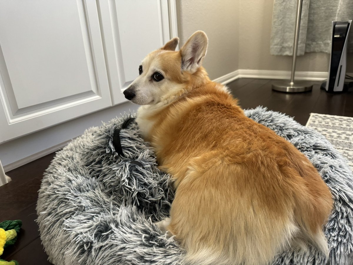 Dale North tweet media