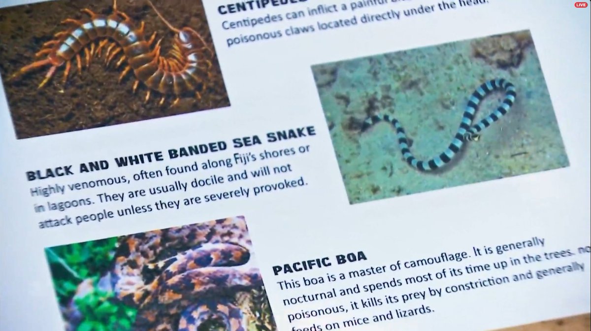 NOT THE WHOLE BOOK??? #Survivor #Survivor49
