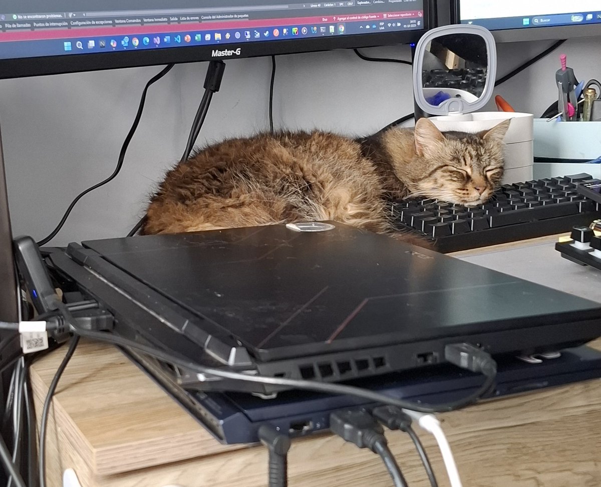 fer_isapenguin's tweet photo. #MiMascotaRata Uds no tienen esta gata wena pa dormir en el teclado en sus casas🥵 https://t.co/oCt9BynTz2
