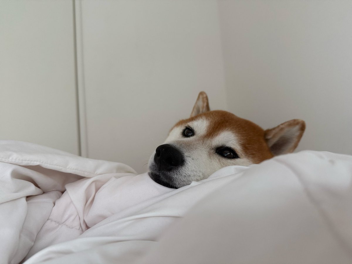 りき様 リキ様御一行 (@rikisama427) / Posts / X