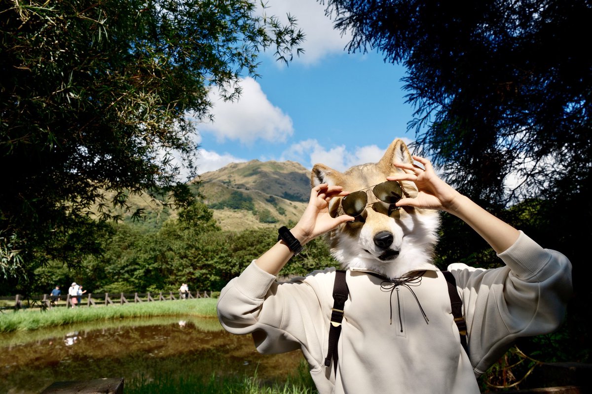 Selly GO Your Heart tweet media