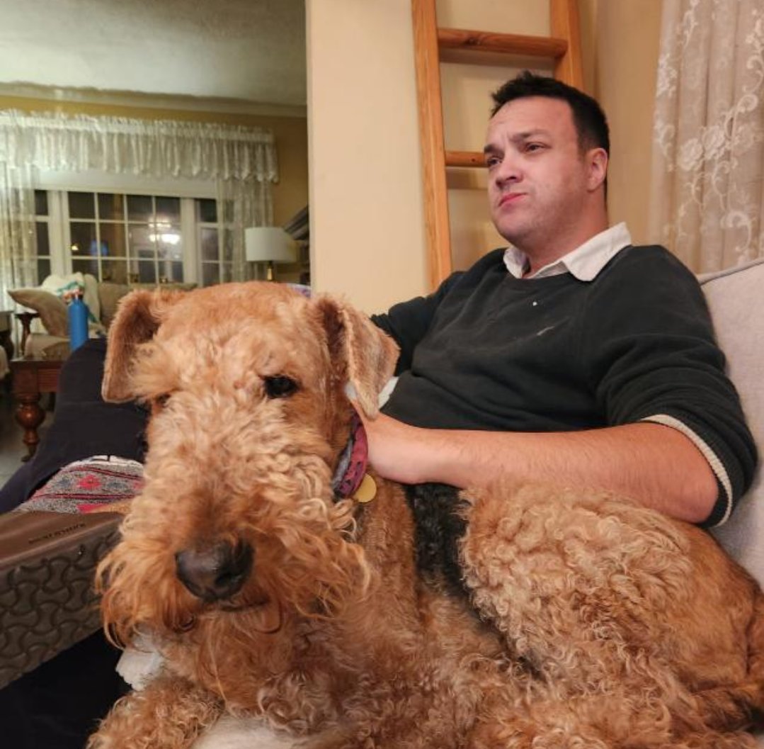 Dogs deserve love and pets.