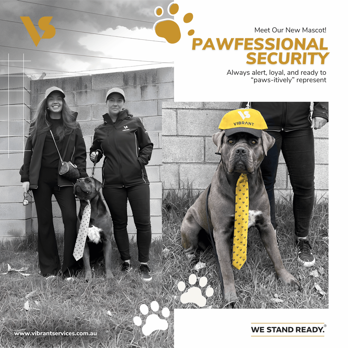 VibrantService1's tweet image. Who says security can’t have style? 💛
Our newest recruit brings four paws, a wagging tail, and a whole lot of VIBRANT energy to the team.
With that tie game, he’s clearly the “Top Dog” in corporate security! 😎🐾

#VIBRANT #TeamVIBRANT #SecurityWithStyle #WeStandReady