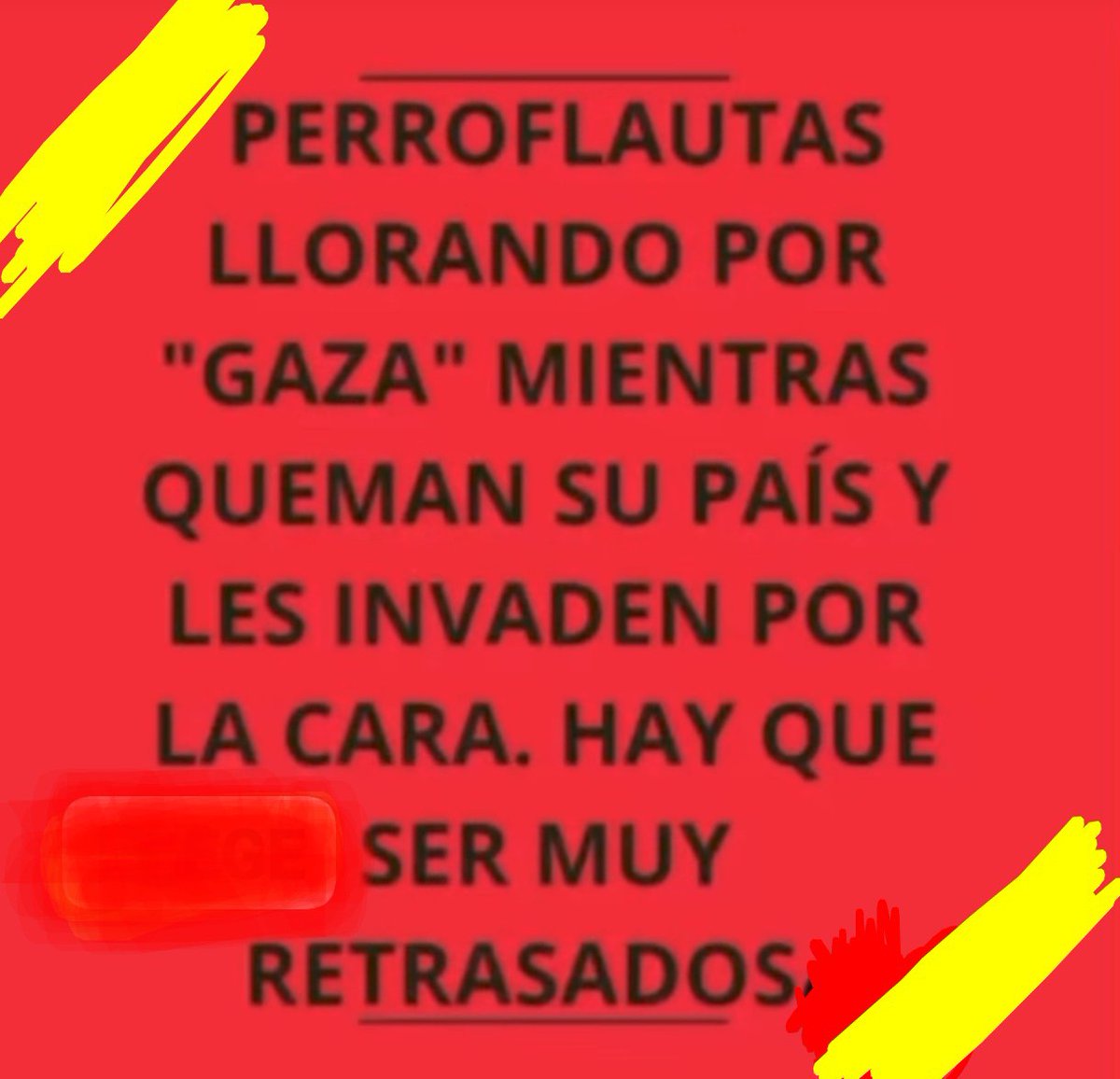 María Estévez 💚🇪🇦 tweet media