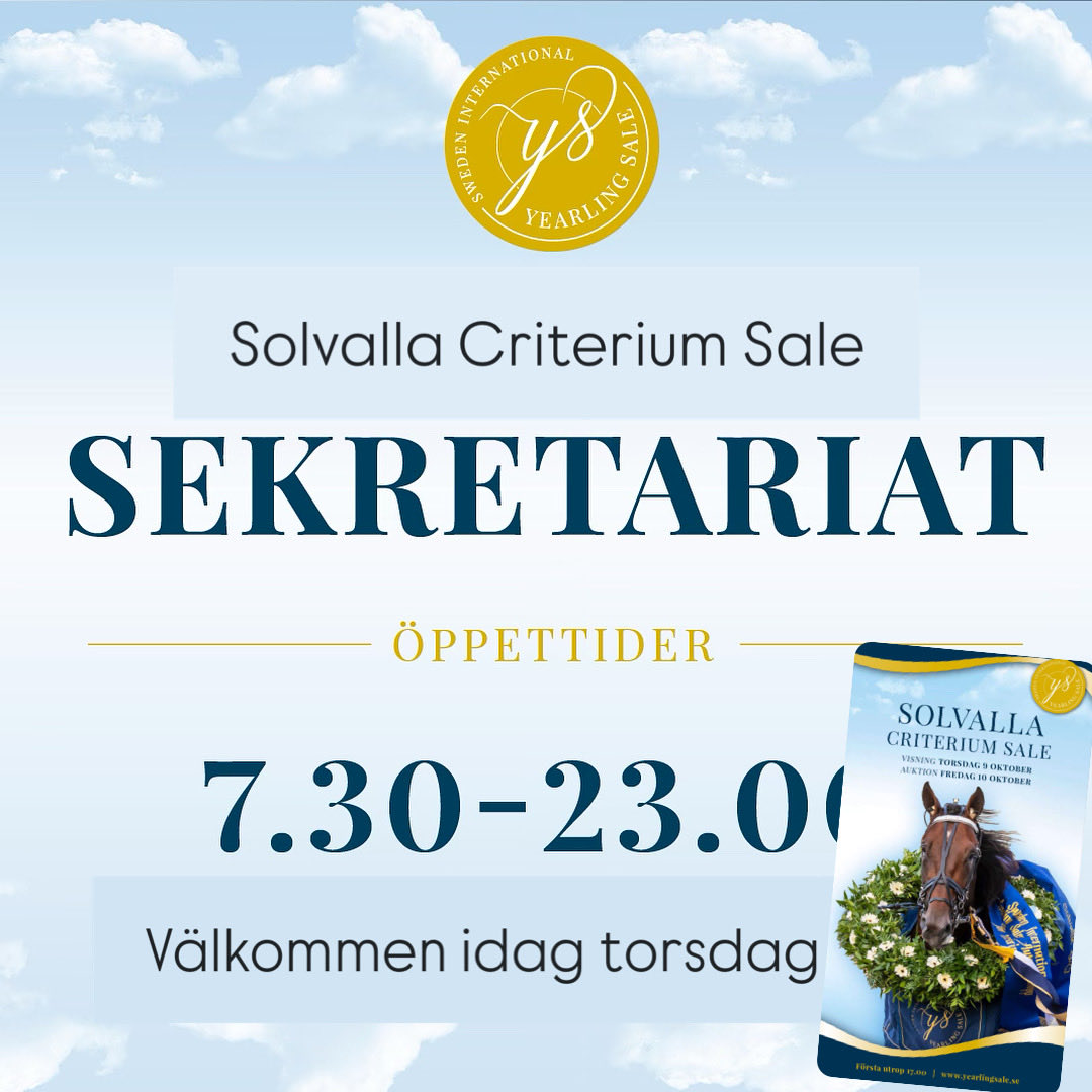 Yearling Sale tweet media