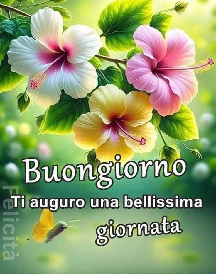 Marianna tweet media