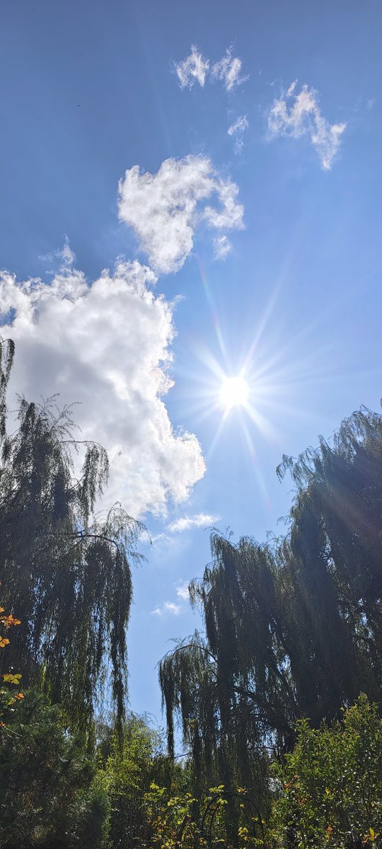 sidhshuk's tweet image. Finally the weather breaks.

Some scattered clouds, but nice hot sunshine today morning. Much needed.

Temps last night came down to about 5 and we had a power cut as well making it feel worse 

#HimachalPradesh #mashobra #thursdayvibes
