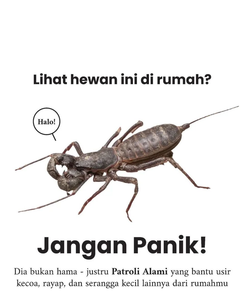KucengTerbanggg's tweet photo. Ditempat kalian namanya apa? https://t.co/Mc5Ha2WoFC