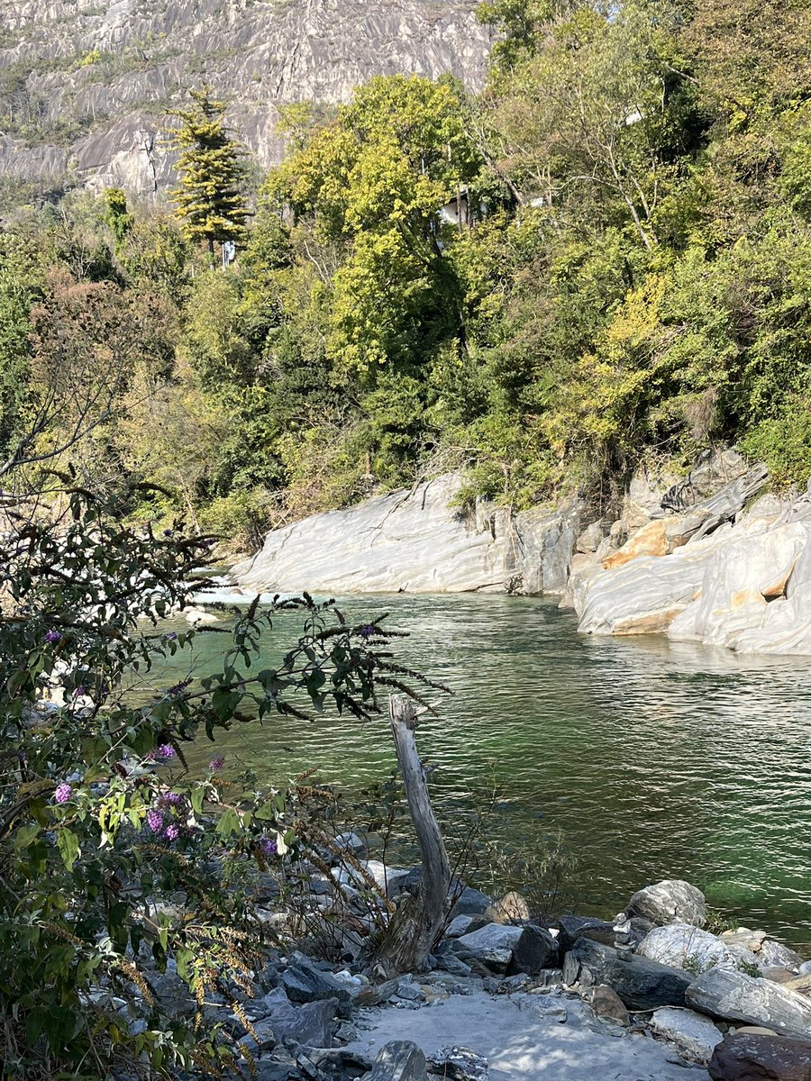 Guten Morgen. 

Die Natur ist die beste Apotheke!