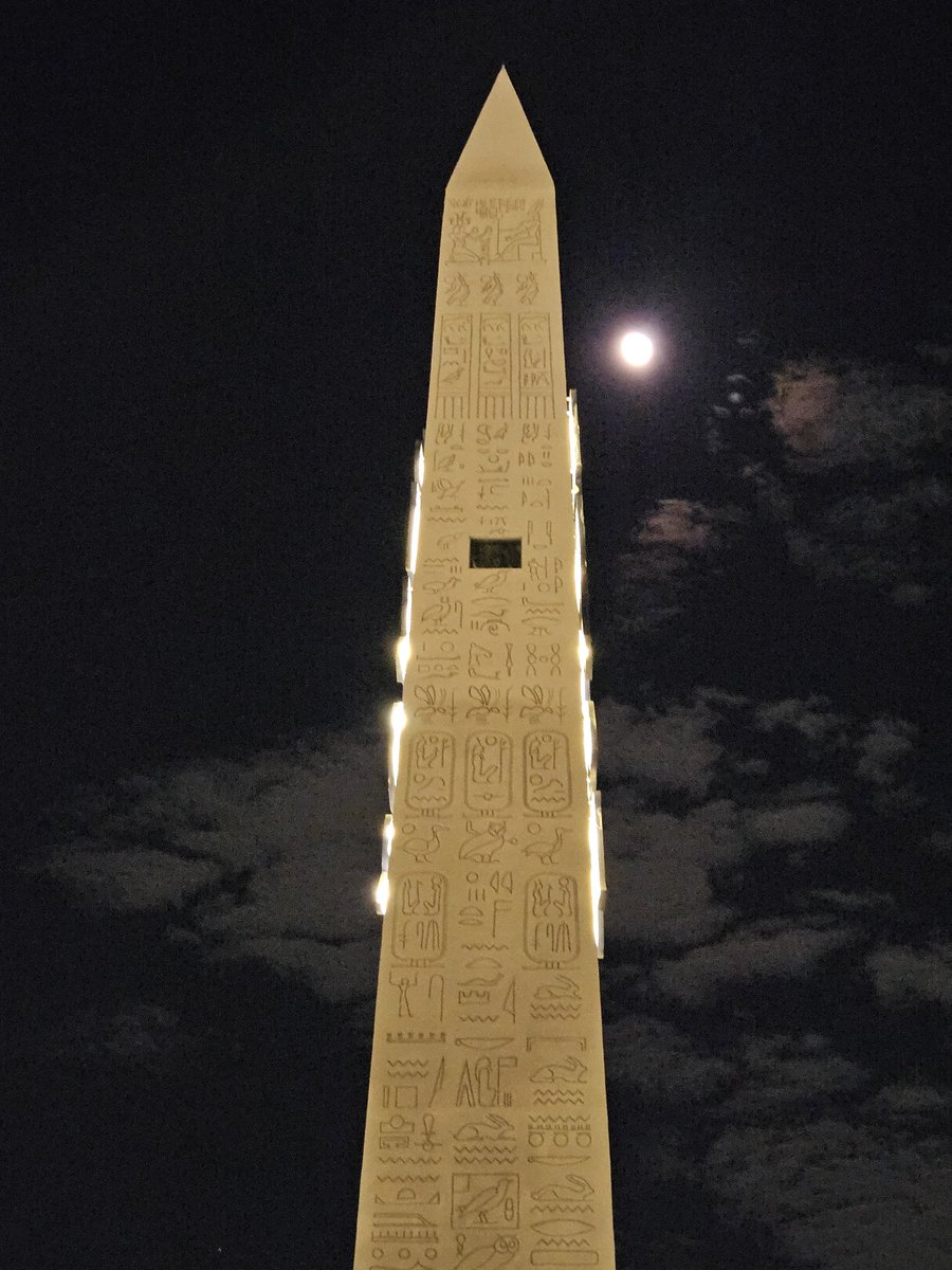 CAMELCASTOff's tweet image. Finally landed in Egypt. Took long enough