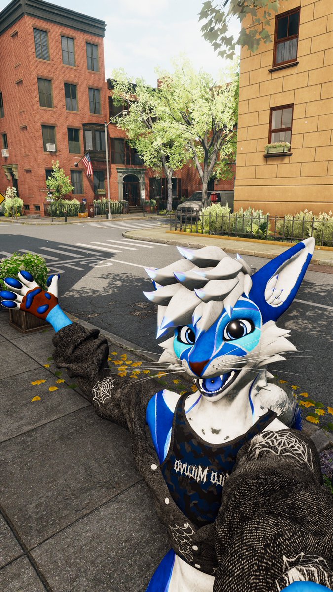 the fox is on the walk path!