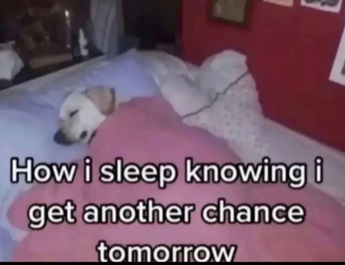 RespectfulMemes's tweet image. 