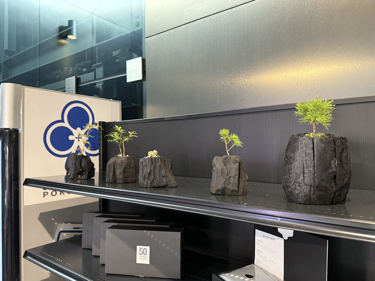 HORIESGAMES's tweet image. 【JOPT 2025 Tokyo #03】会場

通路に17LIVEの装飾が増えてたほか、謎の観葉植物も出現。前回まではエスカレーターのところに歴代優勝者の写真を飾ってたけど、なくなったっぽい。暑くもなく寒くもない、これぐらいの気候がポーカー日和かも #JOPT