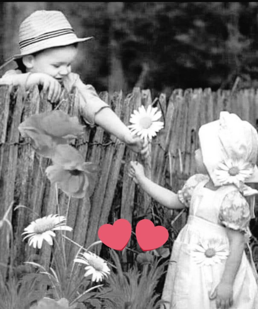 اگر آپ کو اپنے درد کا احساس ھے تو آپ زندہ ہیں، 
اور اگر آپ کو دوسروں کے درد کا احساس ھے تو آپ انسان ھیں

دن بخیر ہوں 
،،،،،🖤