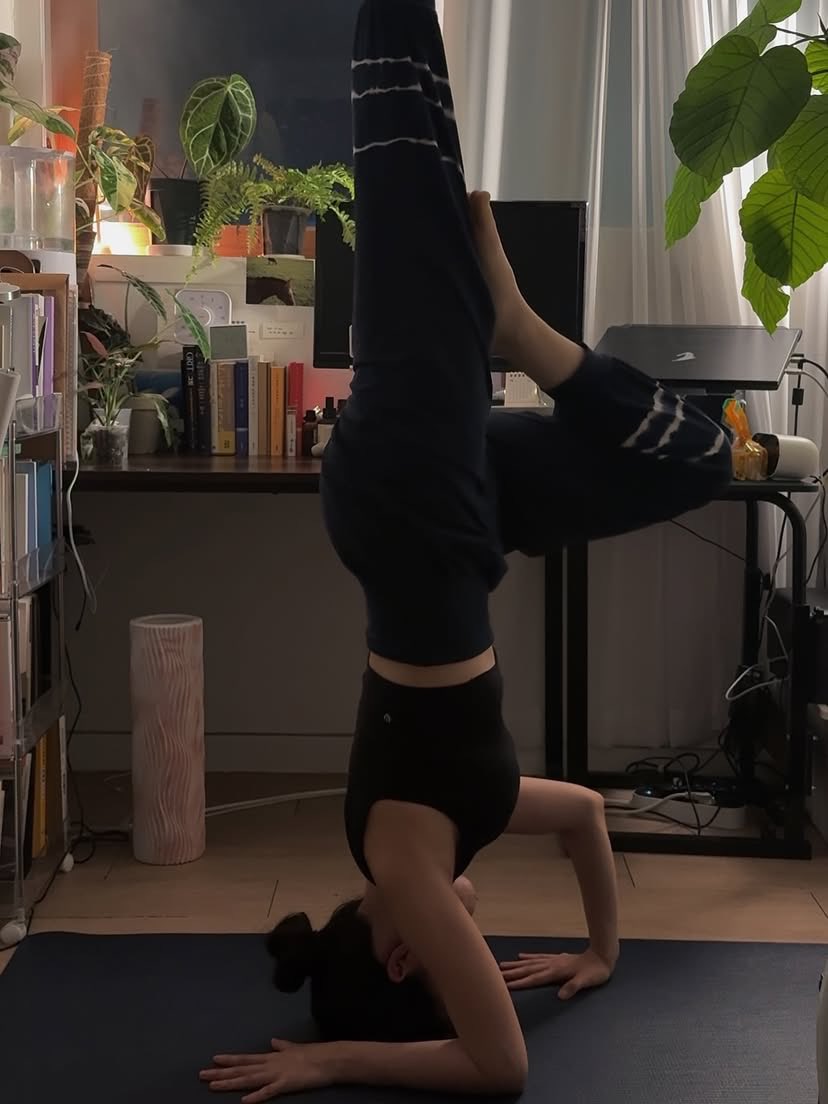 chudai_TG1's tweet image. Even within the familiar, may a sense of newness dwell.
May texture rise again in a heart grown dull.
May the flow never cease, and may tomorrow be peaceful.

#yoga #vinyasaflow #practice #mindfulness #flow