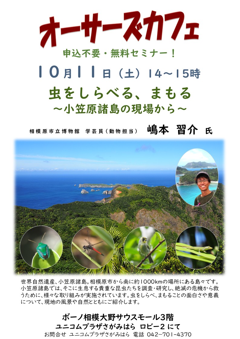 11日（土）はオーサーズカフェ。今回は相模原市立博物館学芸員の嶋本習介氏によるお話です。皆様、是非、お越しください。