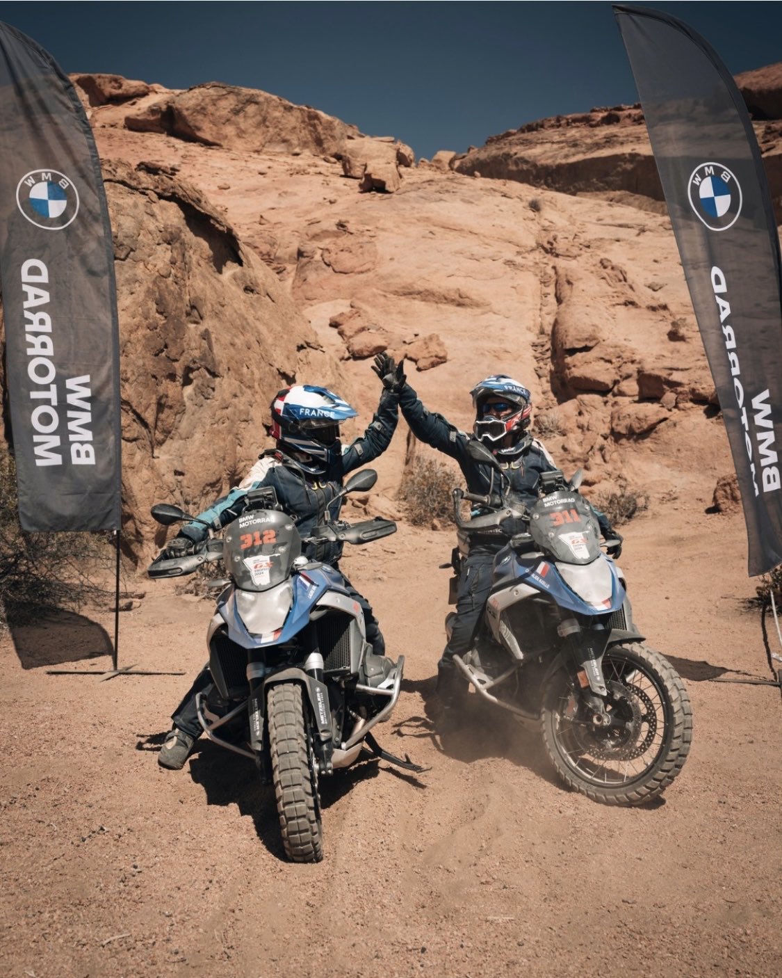 せんちゃん🐾 (@sen1043h) / X