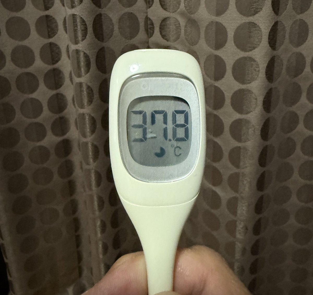 今日はお家で一日大人しくしていよう