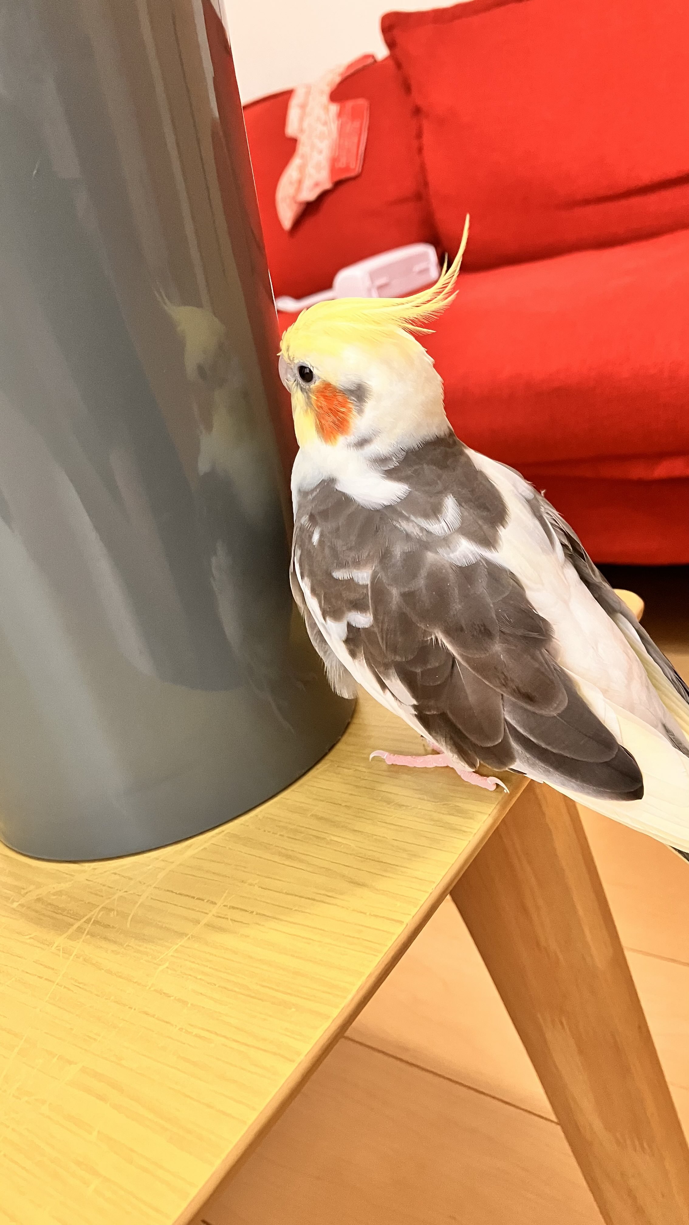 【たかこ】モビール6点 ❤︎鶴/富士山/梅/松❤︎クジラ❤︎お月見❤︎カモメ❤︎ 他 ひびをつづる【ひびつづch.】 on X: