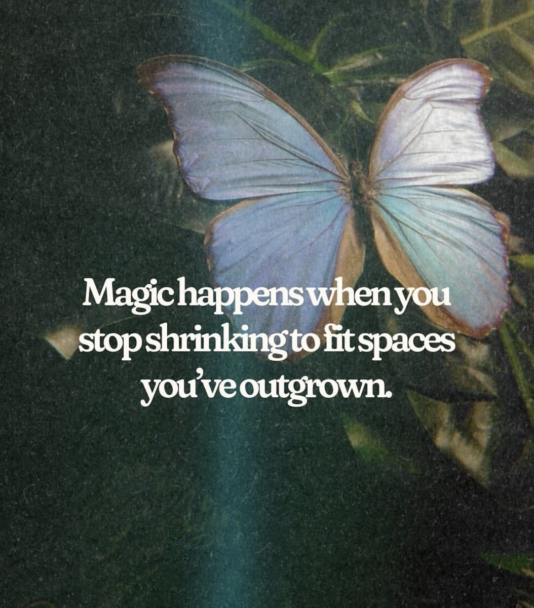 Bright Emily tweet media