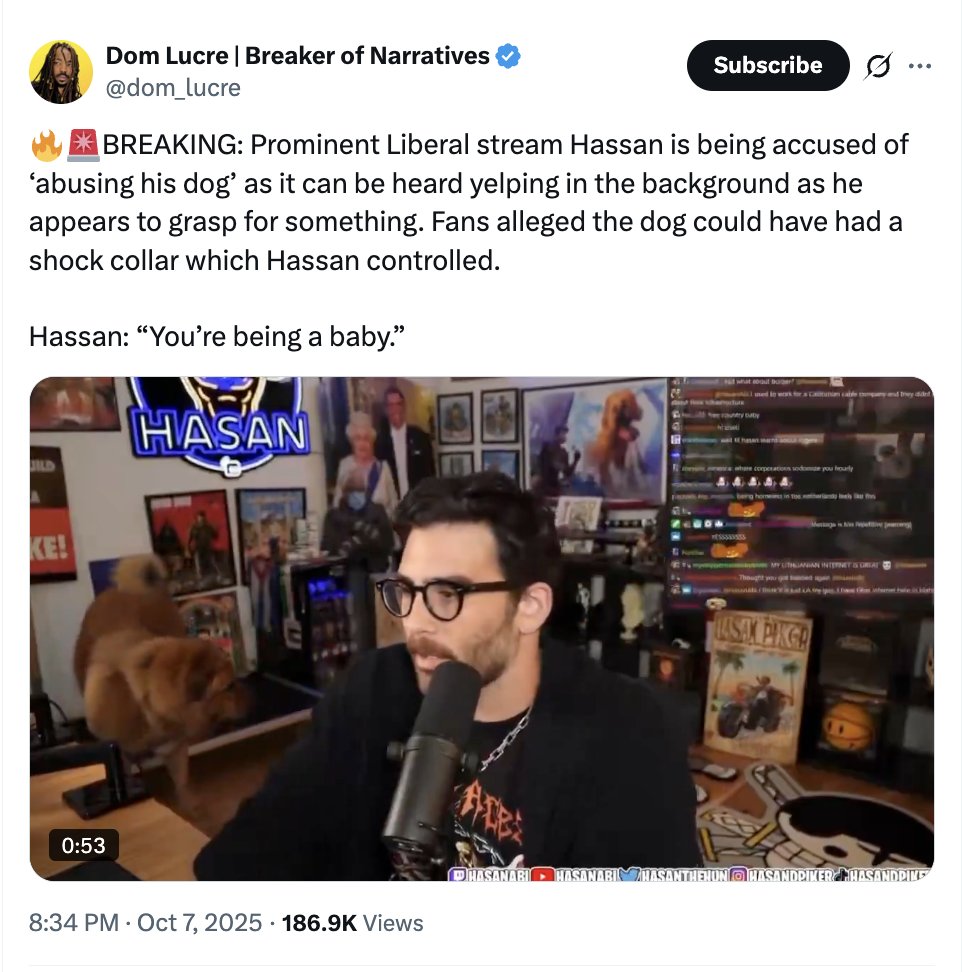 nazi crackheads trying to manufacture this fake "dog abuse" storyline to try and ding him, like how dumb do you have to be to believe this or care