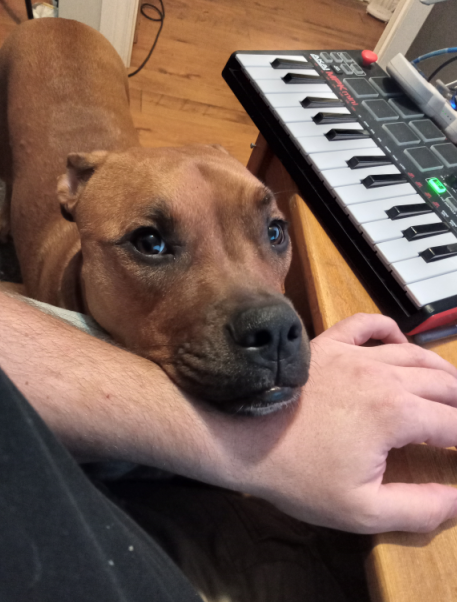 Stephane Hockenhull 🕹 tweet media