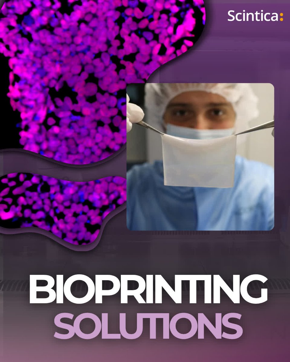 Scintica (@scinticainst) on Twitter photo Print live tissues & organs with the NGB-R Bioprinter — bridging the gap from preclinical models to in-human trials.
🔗 bit.ly/3JaHHrg
#bioprinting #science #biotech #Scintica #research Print live tissues & organs with the NGB-R Bioprinter — bridging the gap from preclinical models to in-human trials.
🔗 bit.ly/3JaHHrg
#bioprinting #science #biotech #Scintica #research