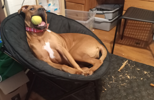 Stephane Hockenhull 🕹 tweet media