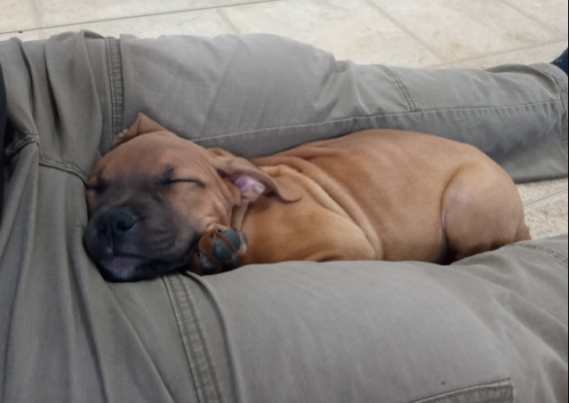 Stephane Hockenhull 🕹 tweet media