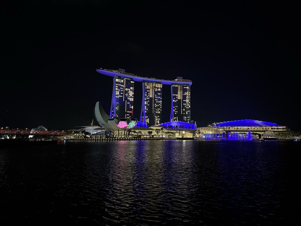 falsehopeprince's tweet image. Went up to Marina Bay Sands for dinner last night but sadly couldn’t find anyone willing to participate in a recreation of this iconic scene #RHOS #RHOSydney