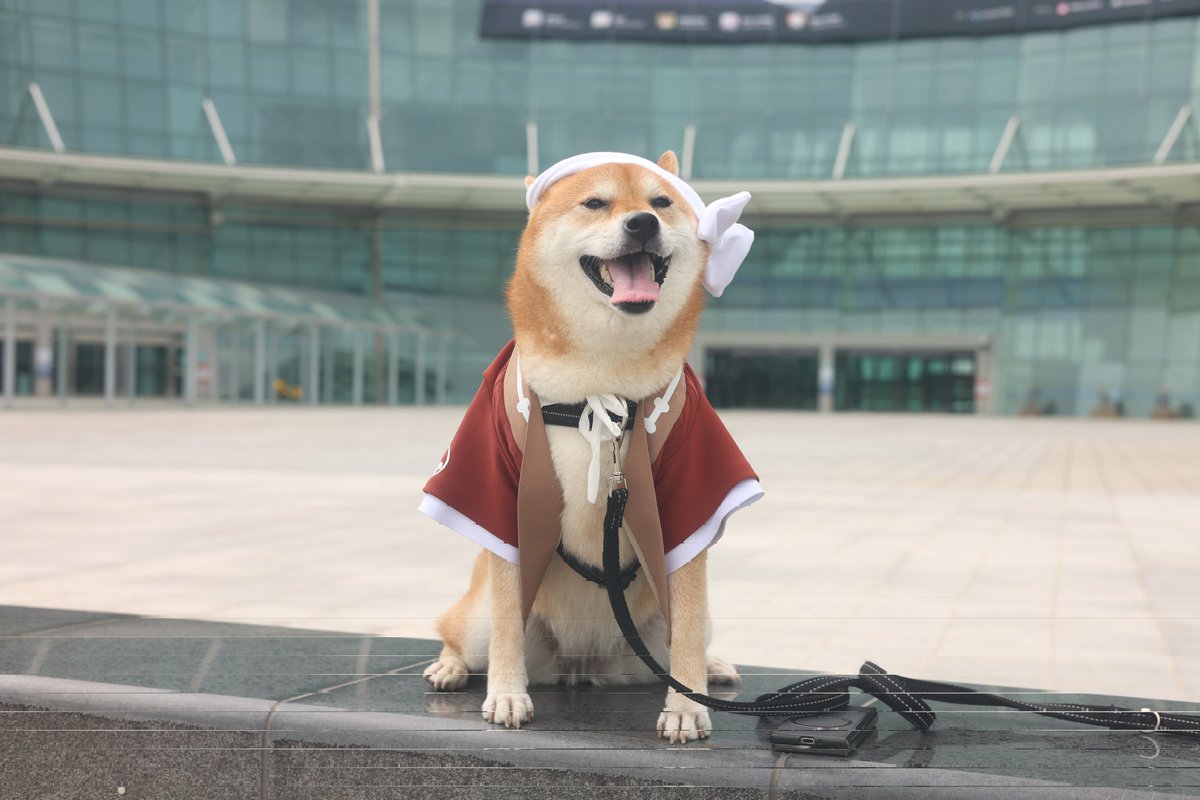 행운이와 킨텍스 출근완료