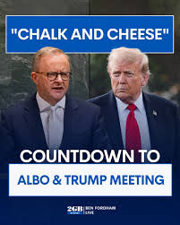 hallstrong1's tweet image. 🚨Albanese&apos;s upcoming meeting with Trump is going to be prime-time viewing.
Popcorn sales are through the roof &amp;amp; factories are running 24/7 just to keep up with the demand.
Word has it Albo will be a no-show; he&apos;s shit scared &amp;amp; not sleeping well.
