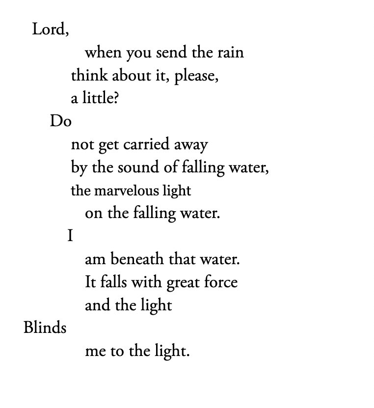 buy FENESTRATION tweet media