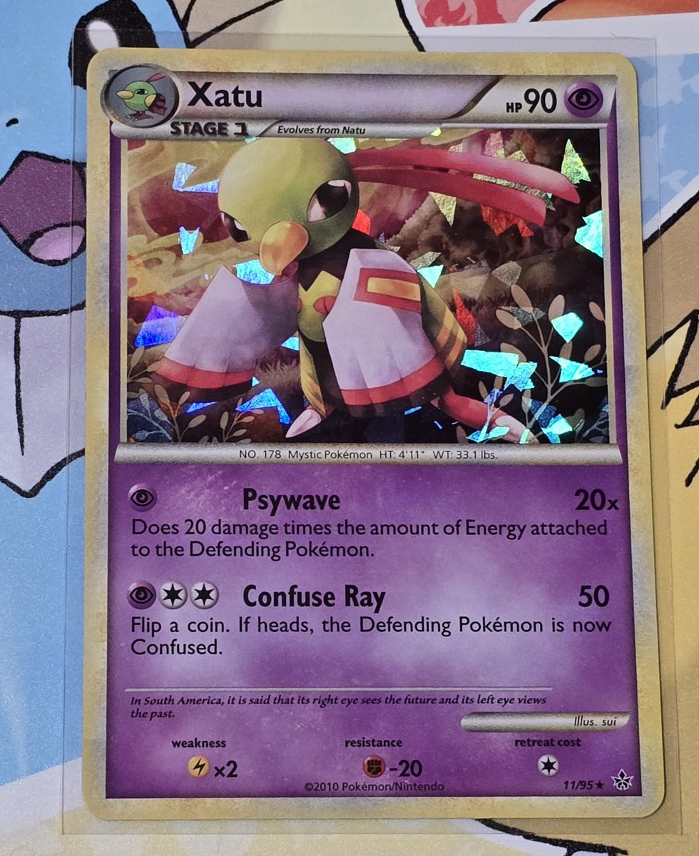 Blastoise Baller ➡️ NAIC tweet media