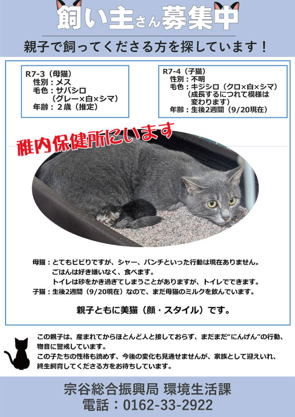 shipponokai's tweet photo. #保健所情報 　全道146頭/飼主探しノート全道248頭
稚内保健所には親子猫2頭が出会いを待っています。親子は、産まれてからほとんど人と接しておらず、まだまだ“にんげん”の行動、物音に警戒しています。親子で家族として迎えいれ…
宗谷総合振興局：0162-33-2922
https://t.co/64jerZcWtN
＃拡散希望 https://t.co/gfaiLXsuVV