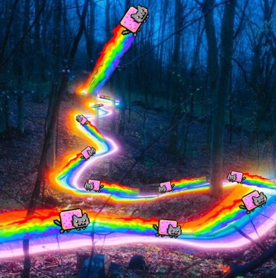 GomuNika91's tweet photo. @penguin_curator There are big things about this rainbow poptart cat https://t.co/9PKE8sslRA