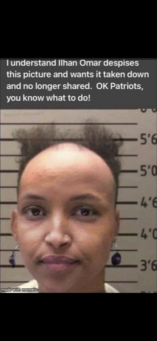 akafaceUS's tweet image. Ilhan Omar can't stand this picture! Definitely don't repost it.