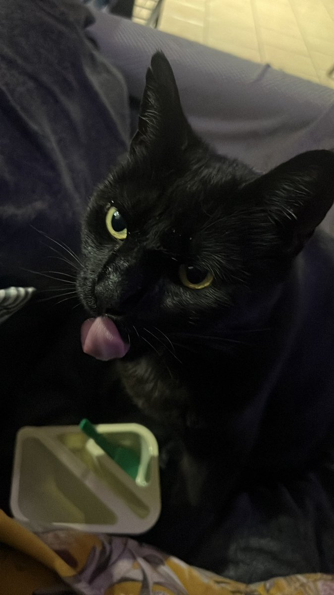 En el bingo falta momento de justificarse a la daniela castro. Me encanta el react no lo cambio por nada 🫶🏽#fiebredebaileCHV con el floki felices y cómodos viendo al tío michoque