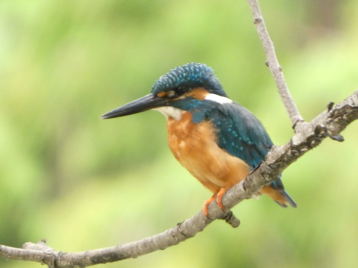 神奈川県立金沢文庫 on X