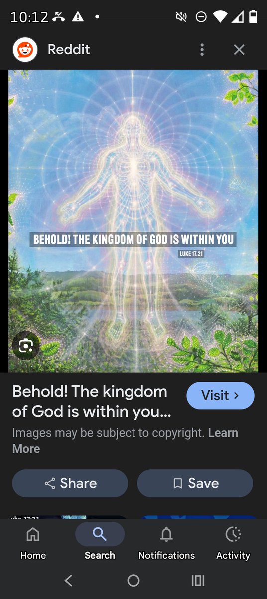 Silly 🇨🇦 tweet media