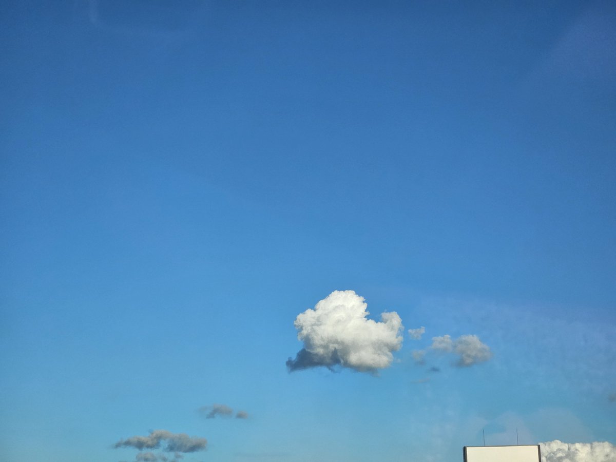 어제 하늘에서 비숑 한마리가 지나갔다
방구도 뽕 끼고