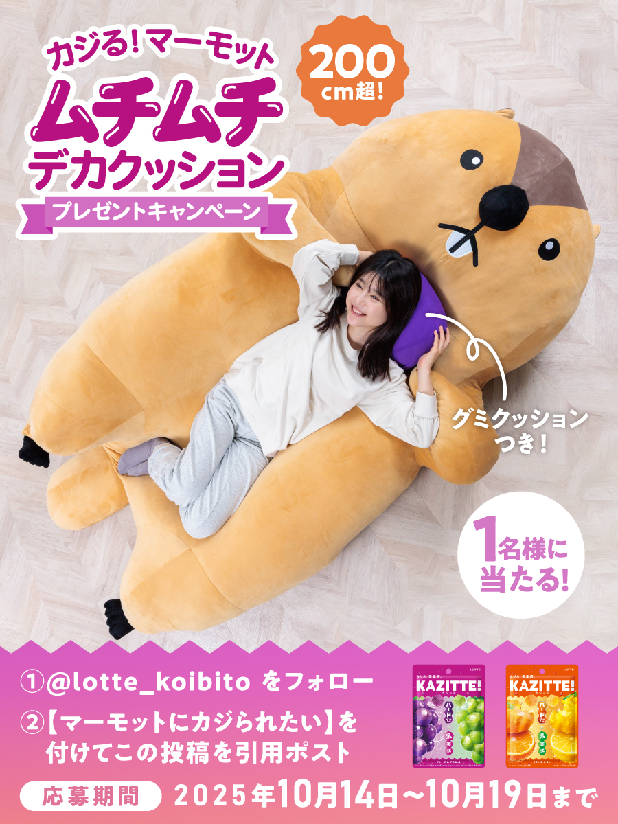 ＼＼🍇もう応募した？🍊／／
#カジッテ の販売チャネル拡大を記念して
キャンペーン第2弾を実施中！
今回はデカクッションを作りました!なんと2m!うれしい!
抽選で1名に当たります! 

①<a href="/lotte_koibito/">お口の恋人 ロッテ／LOTTE【公式】</a> をフォロー
②【マーモットにカジられたい】を付けてこの投稿を引用ポスト
📅10/19〆