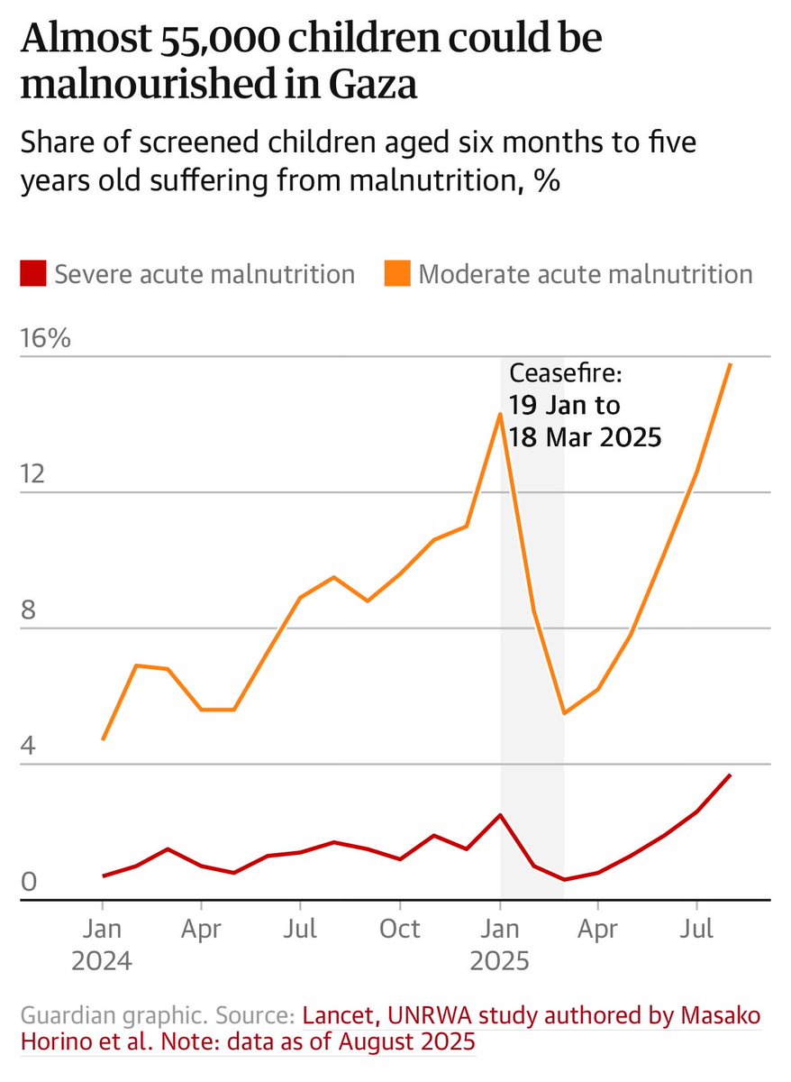 "Almost 55,000 children in Gaza are estimated to be acutely malnourished, far more than have so far been identified as victims of the potentially lethal condition, a study published in the Lancet, the respected international medical periodical, has revealed."
.