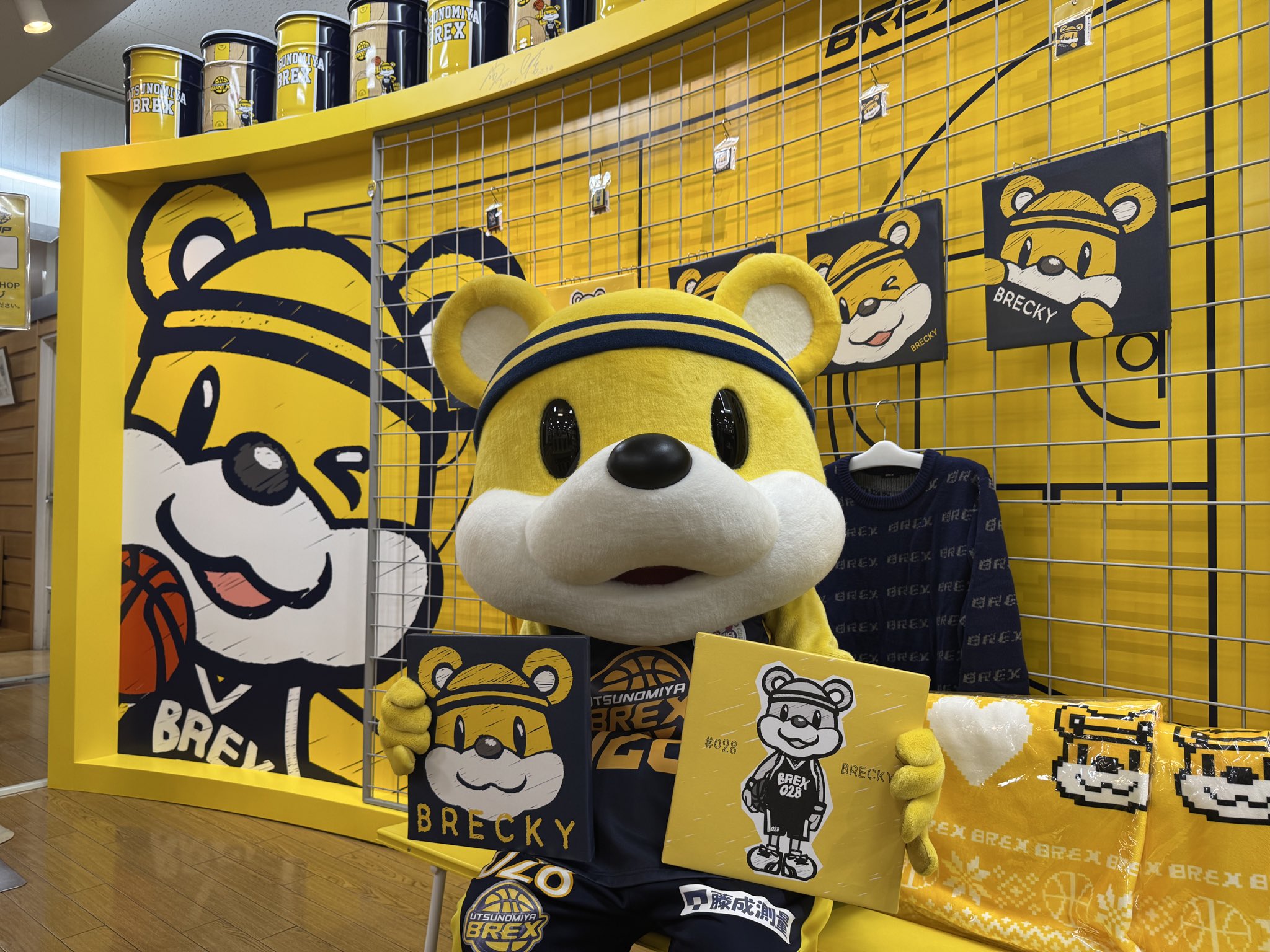 宇都宮ブレックス / UTSUNOMIYA BREX on X: 