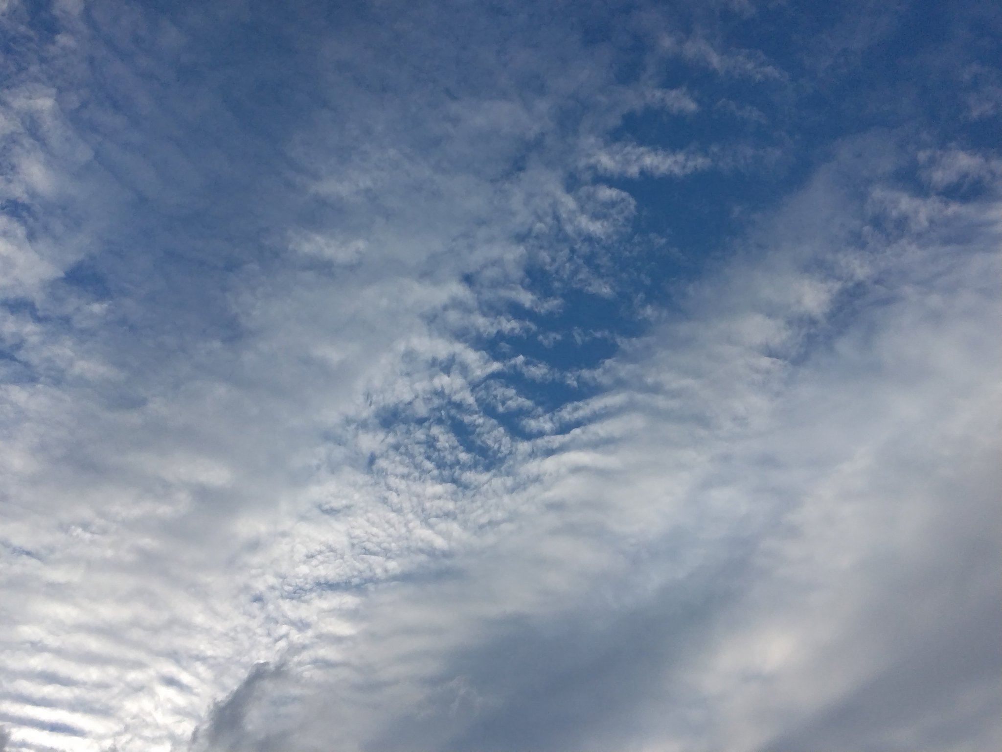 白雲の去来写真風 2025年最新】白雲去来の人気アイテム - メルカリ