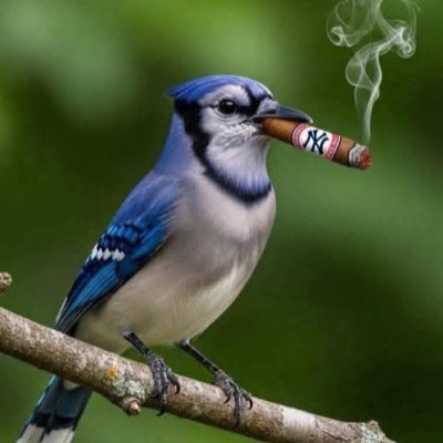 PitcherJon's tweet image. #NewProfilePic